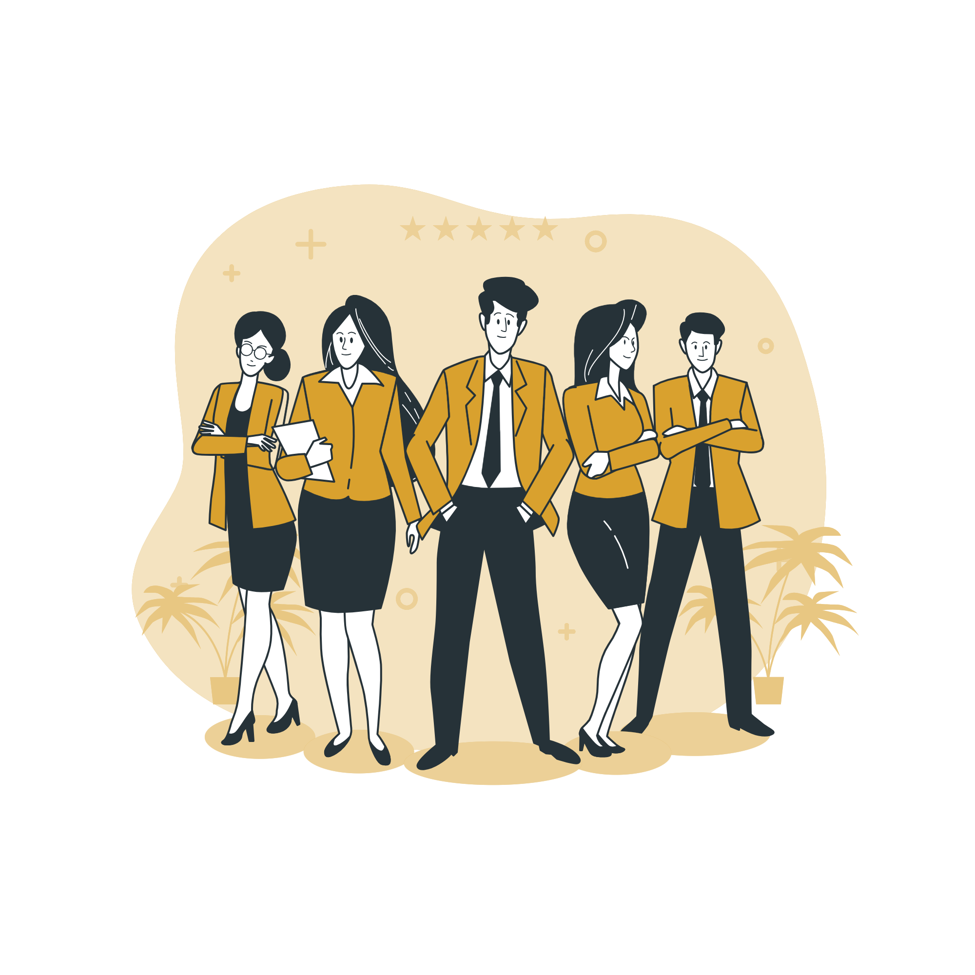 developer